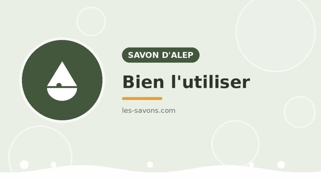 Alep — utilisation